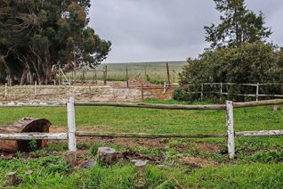 Farm road maintenance and land preparation at Glen-Graze sanctuary