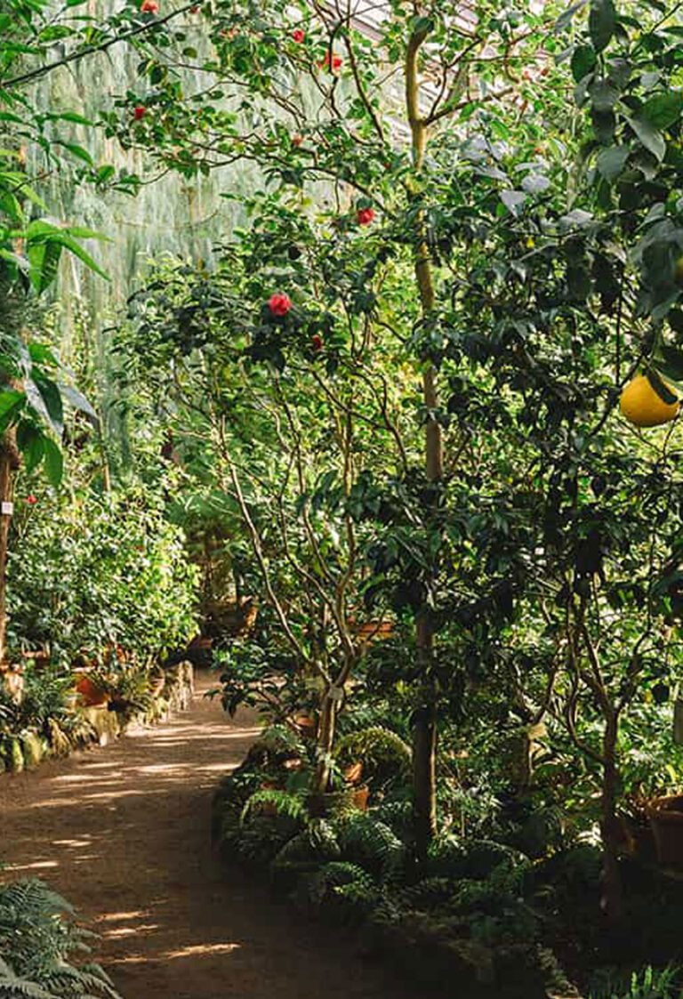 Food forest and tree planting at Glen-Graze sanctuary