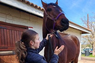 Stable structures at Glen-Graze sanctuary needing repair