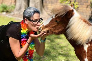Pony party visit at children’s event Glen-Graze